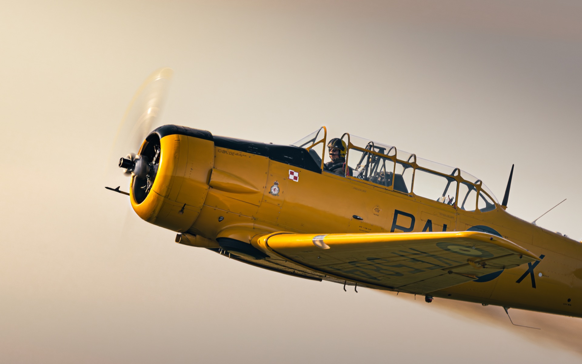 Harvard 4M SP-YIX w locie pokazowym